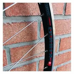 BIKELIFE Roue Arrière Custom SeBike 29 Pouces 10v - Wheeling Bike -Demolition Parts Soldes Boutique roue arriere custom sebike 29 pouces 10v wheeling bike 4